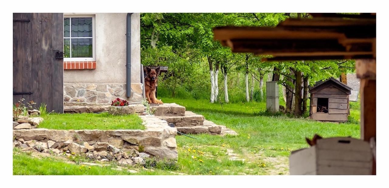 Vila Kozy i Róże Oldrzychowice Klodzkie Exteriér fotografie