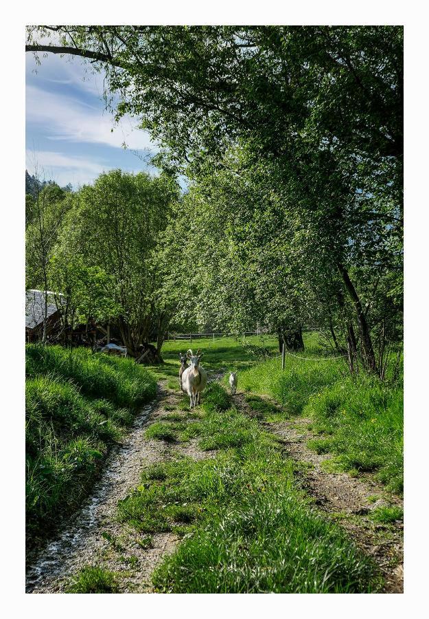 Vila Kozy i Róże Oldrzychowice Klodzkie Exteriér fotografie