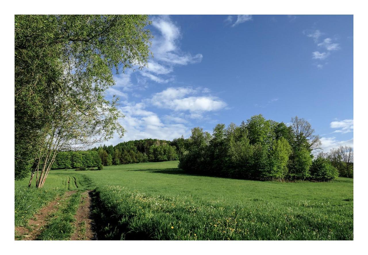 Vila Kozy i Róże Oldrzychowice Klodzkie Exteriér fotografie