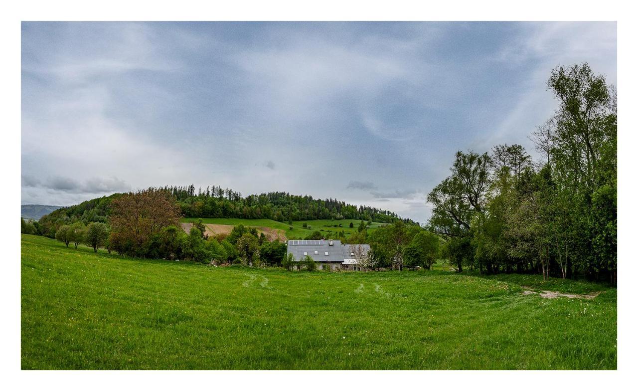 Vila Kozy i Róże Oldrzychowice Klodzkie Exteriér fotografie