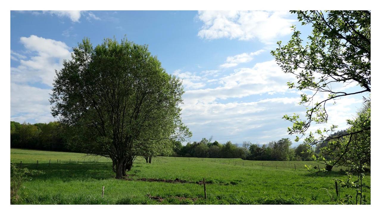 Vila Kozy i Róże Oldrzychowice Klodzkie Exteriér fotografie