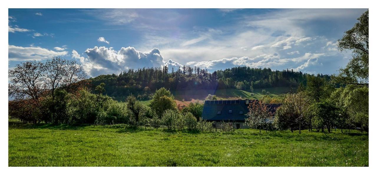 Vila Kozy i Róże Oldrzychowice Klodzkie Exteriér fotografie